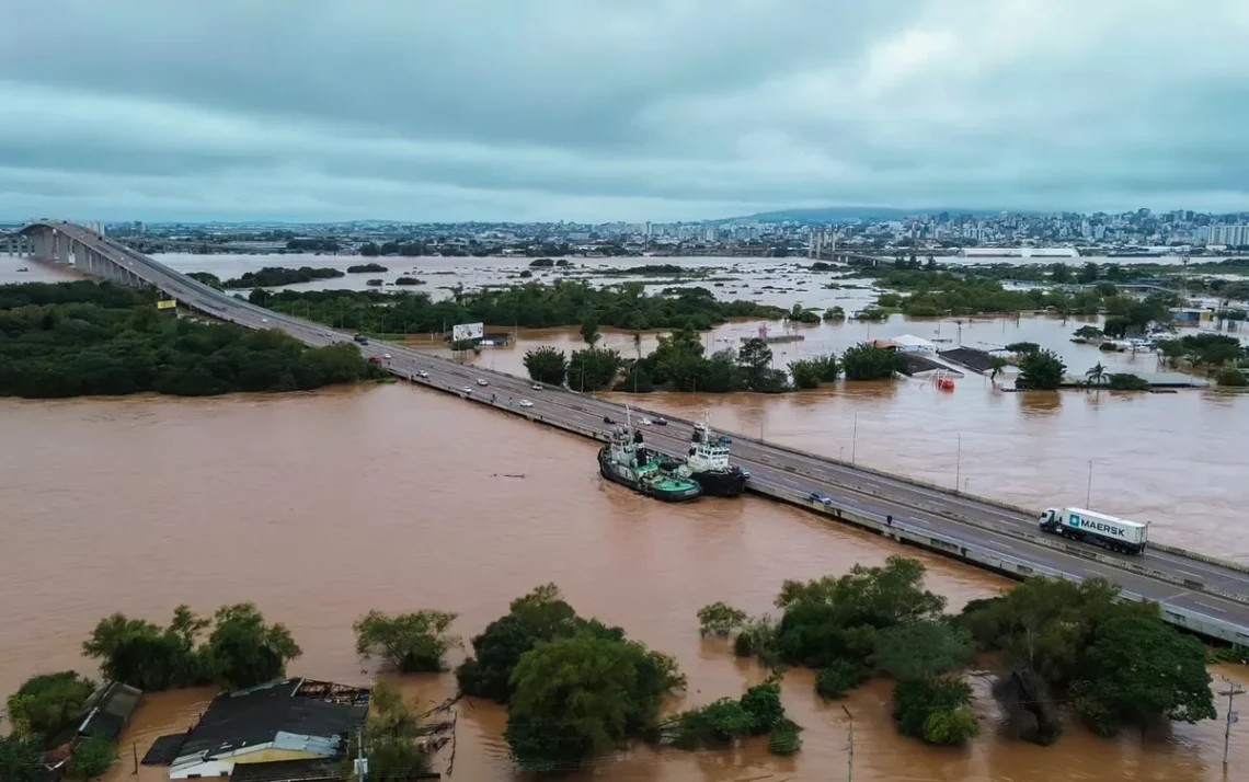 nove estados, região Nordeste, consórcio Nordeste, grupo Nordeste.