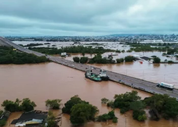 nove estados, região Nordeste, consórcio Nordeste, grupo Nordeste.